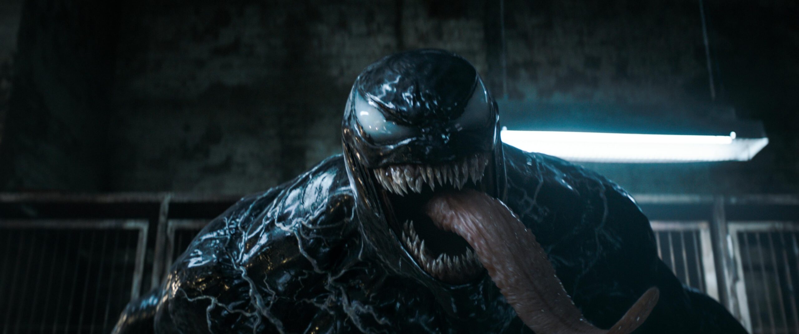 Venom the Last Dance: